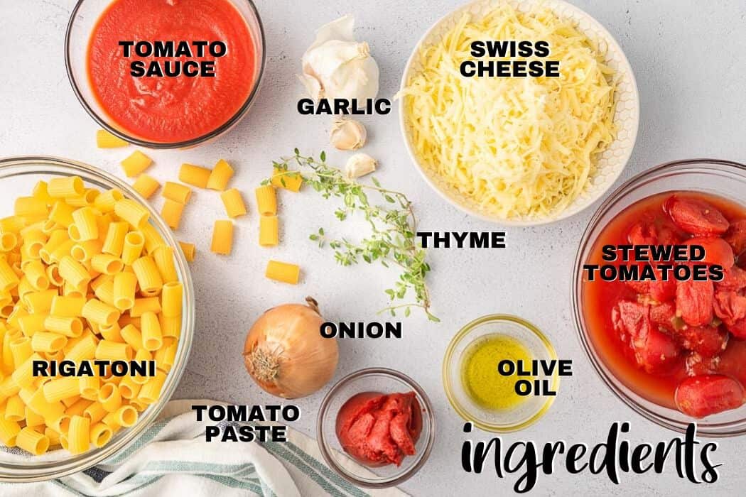 labeled picture of rigatoni ingredients