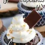 pinterest image of smores cupcakes with text "easy smores cupcakes"
