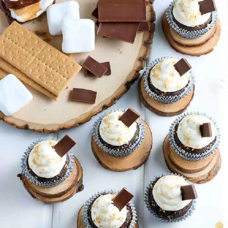 square pic of smores cupcakes for recipe card