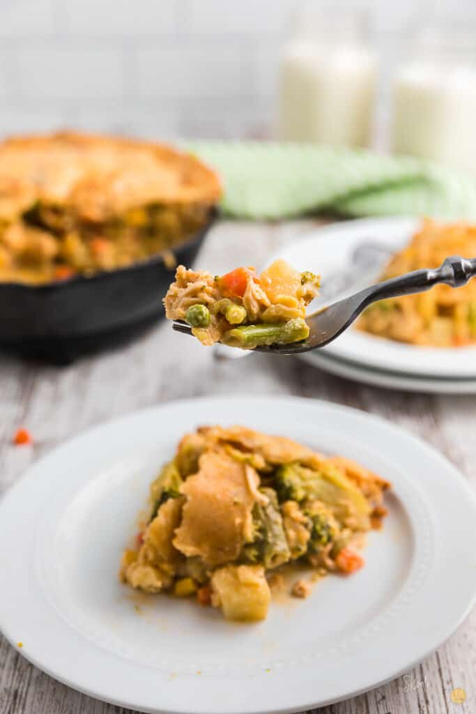 fork with chicken and veggies