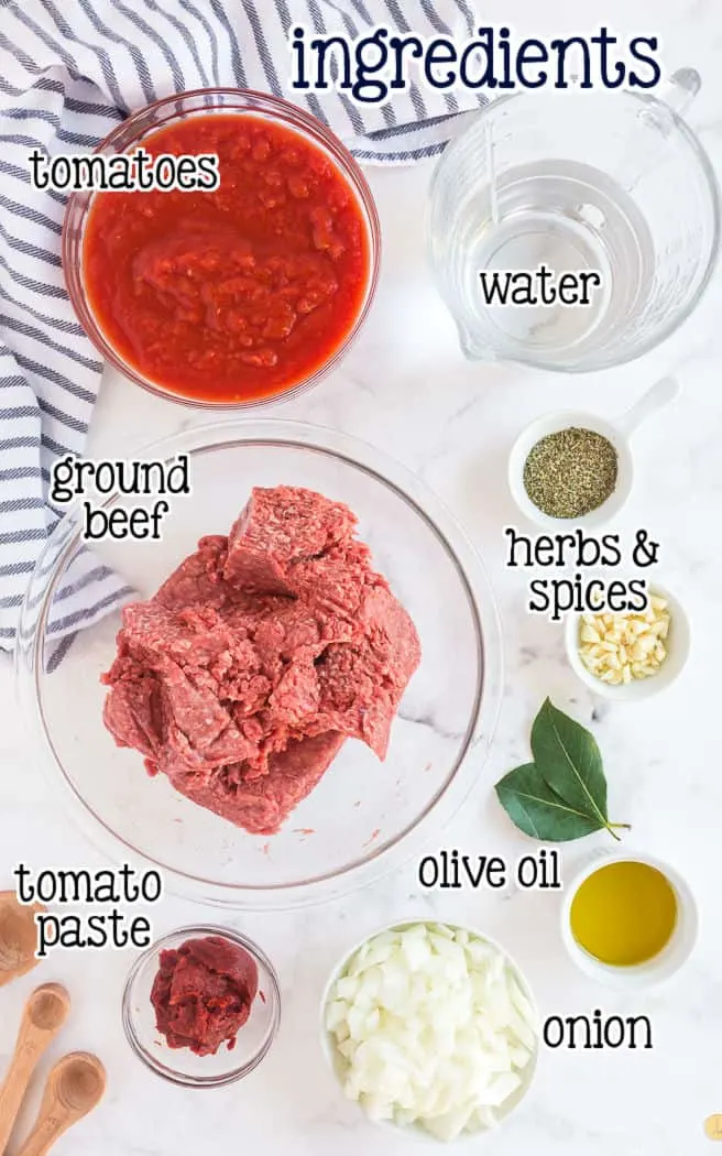labeled picture of meat sauce ingedients