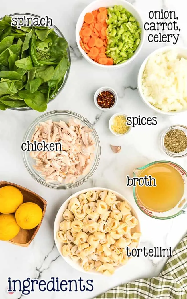 labeled picture of soup ingredients