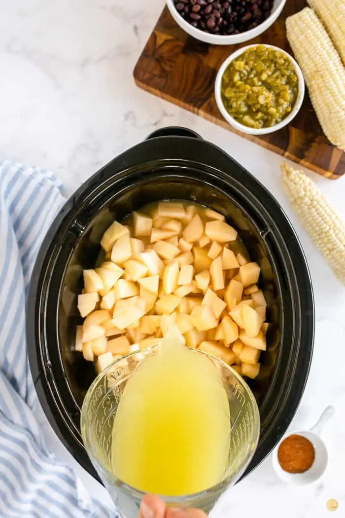 diced potatoes and broth in a crock pot