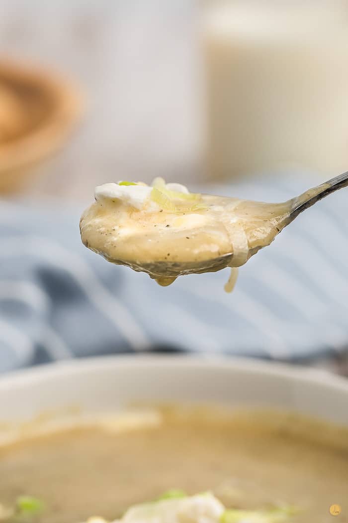 spoon full of soup with garnish