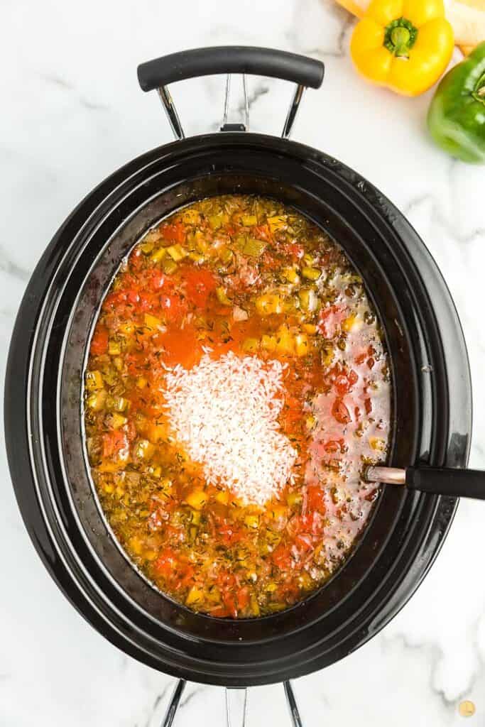 rice and soup in a crock pot