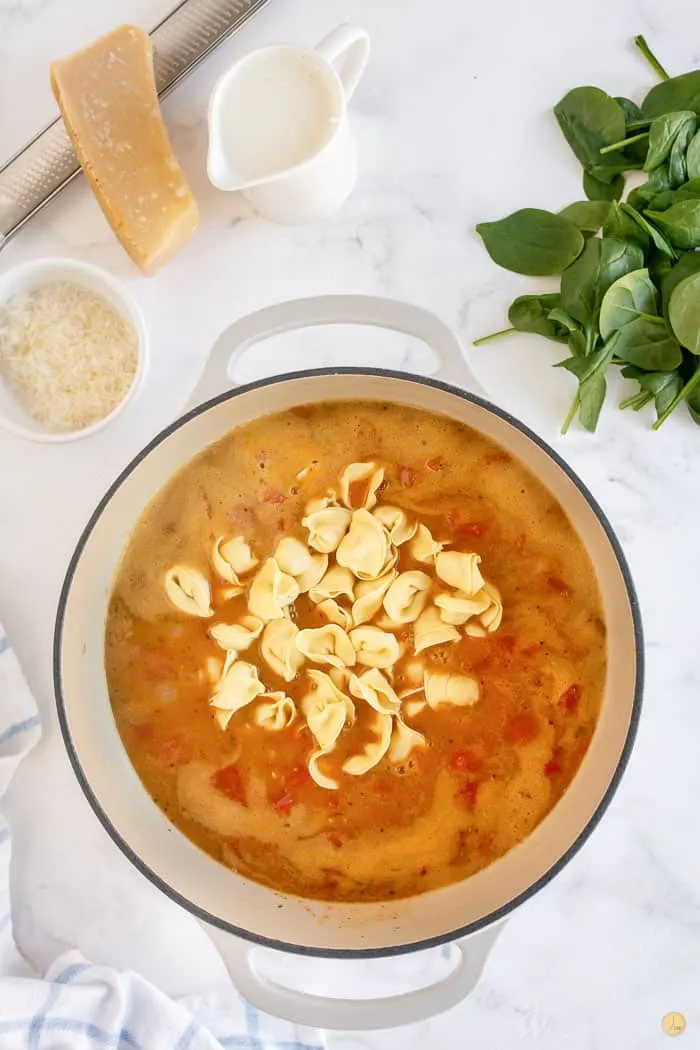 tortellini in a soup pot