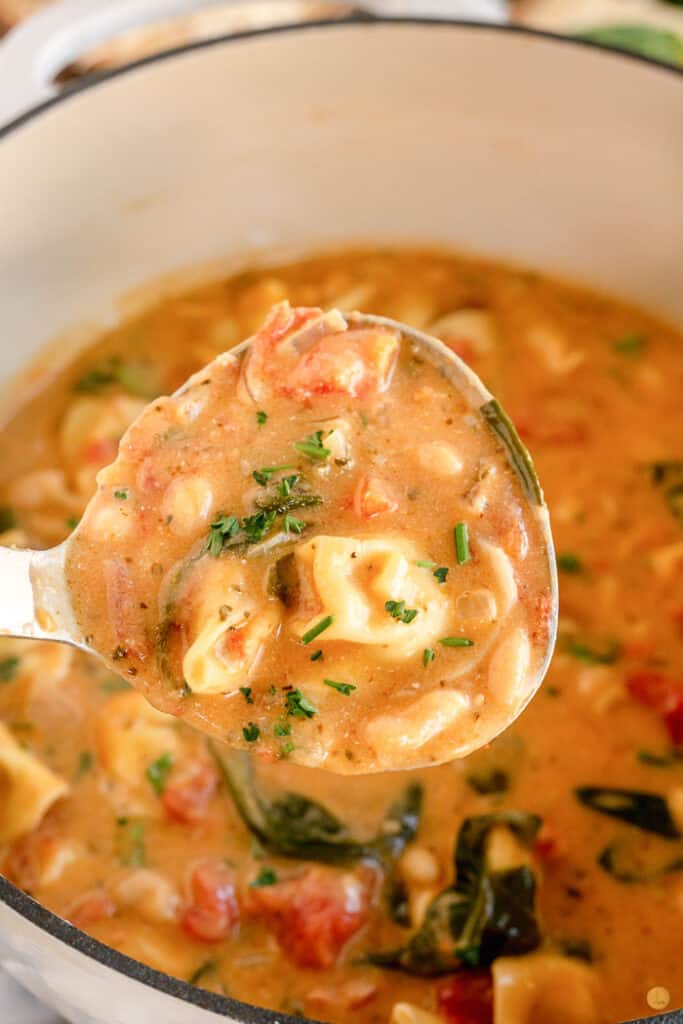 ladle of tortellini soup