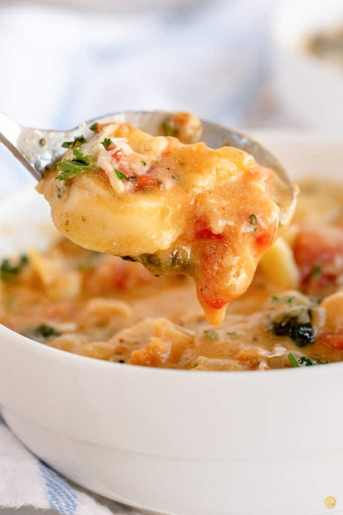 spoon full of soup