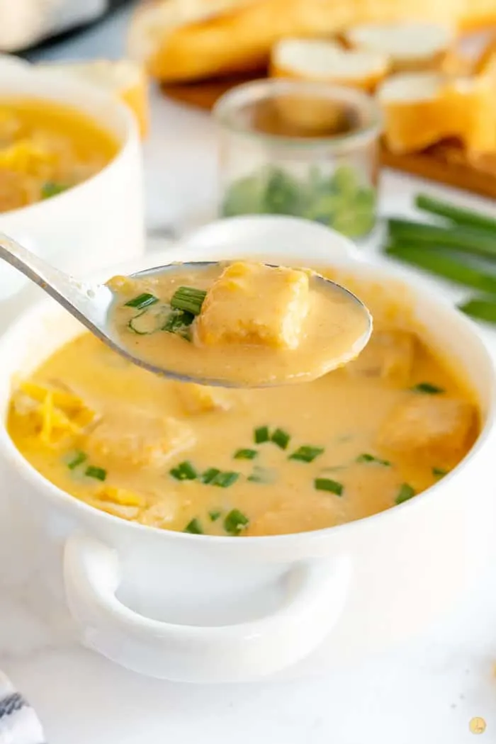 spoonful of beer cheese soup over a white bowl