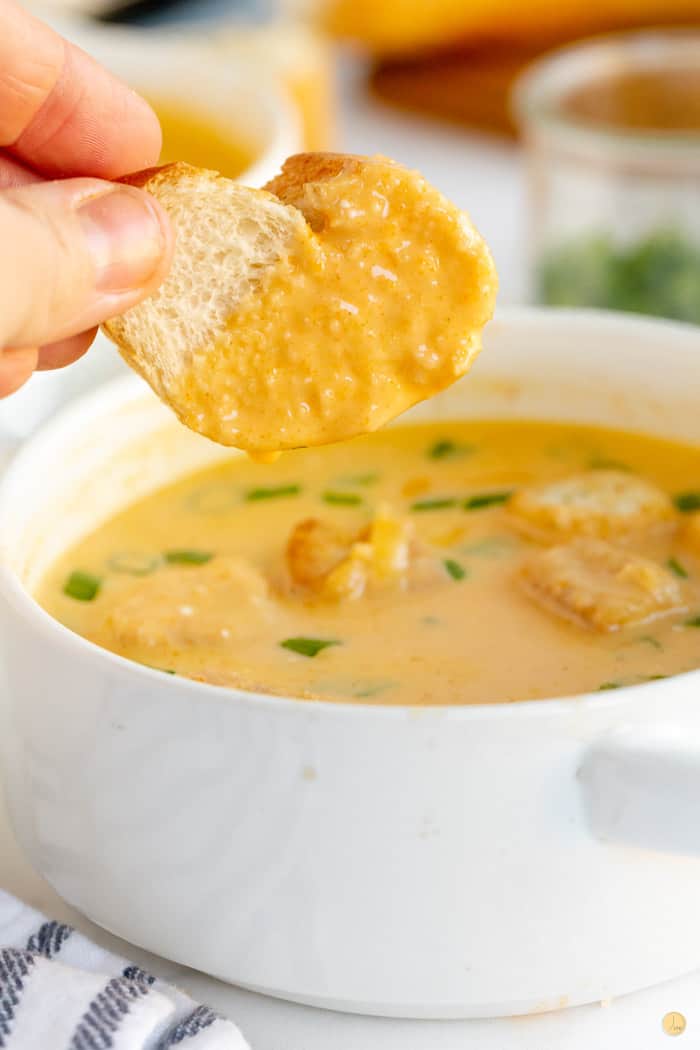 dipped crouton in beer cheese soup