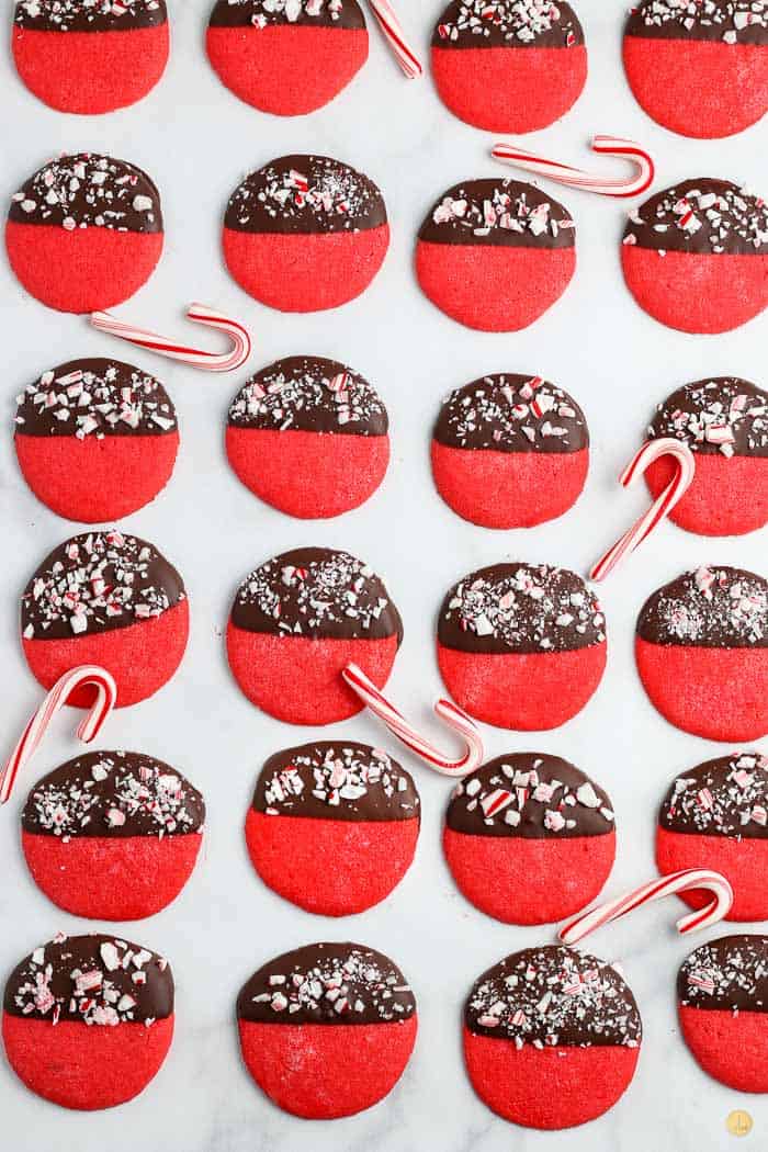 tray of peppermint cookies and candy canes