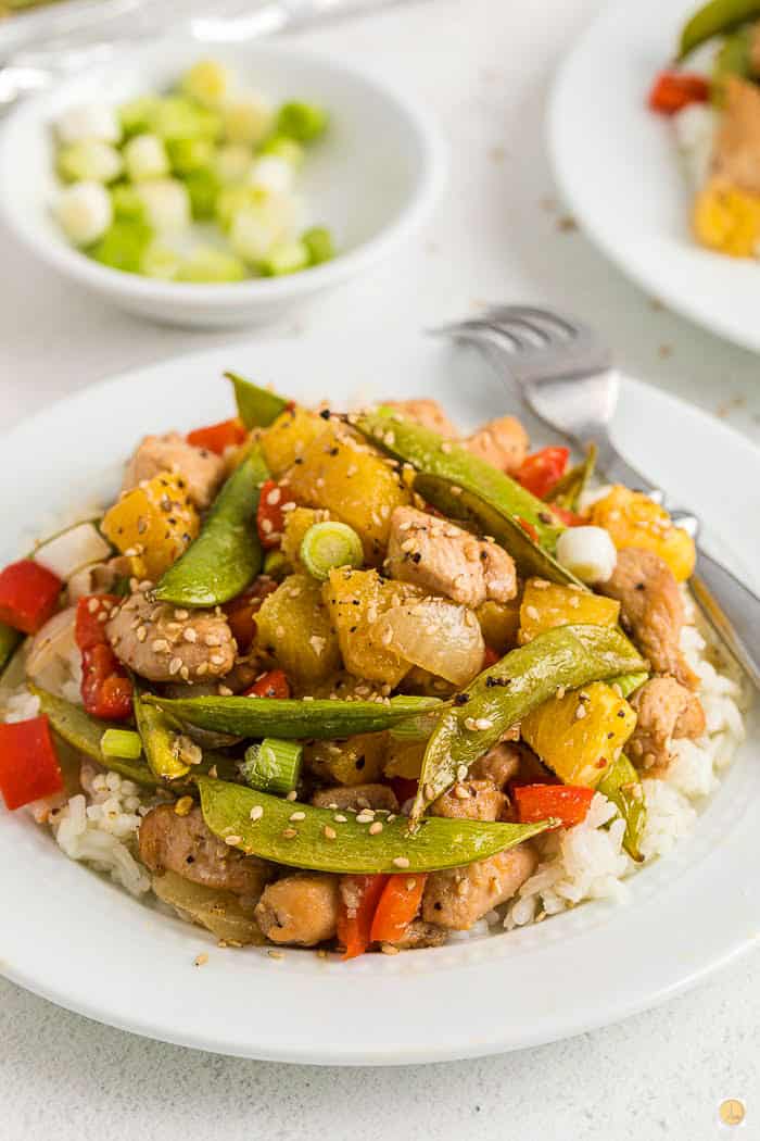 close up of plate with chicken and rice