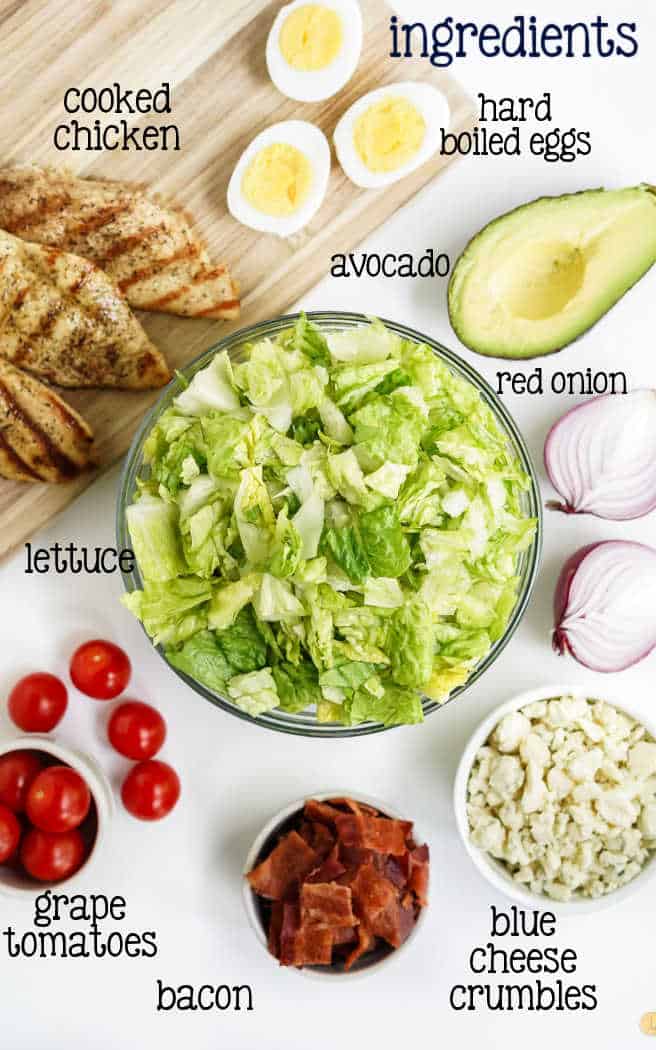 labeled picture of salad ingredients