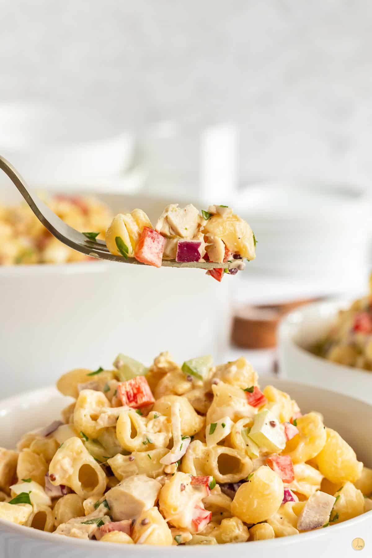 chicken macaroni salad plating