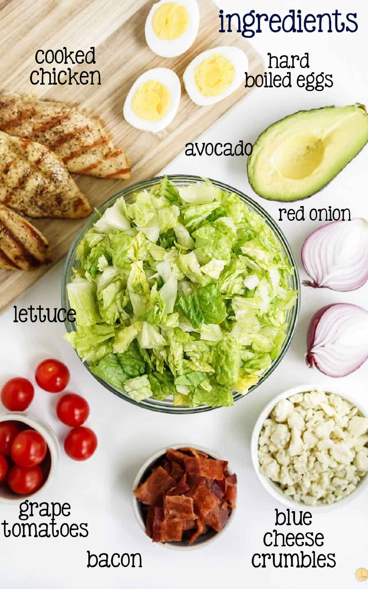 labeled picture of salad ingredients