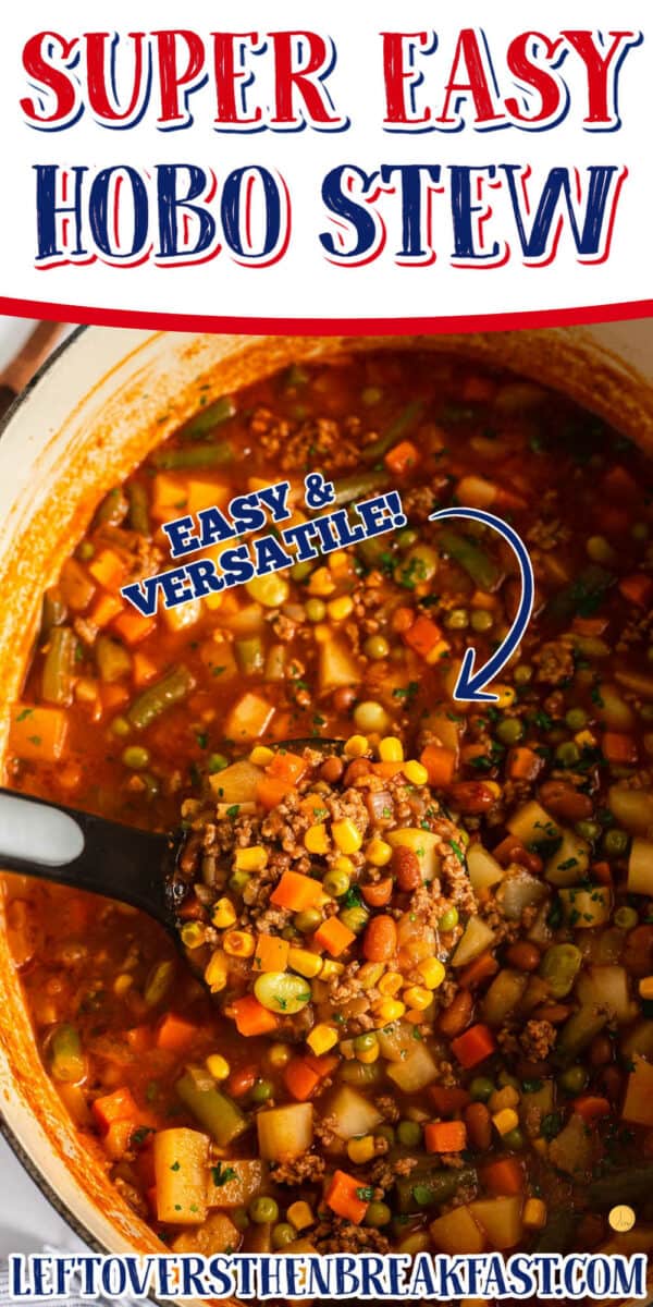 Hasty Hobo Soup