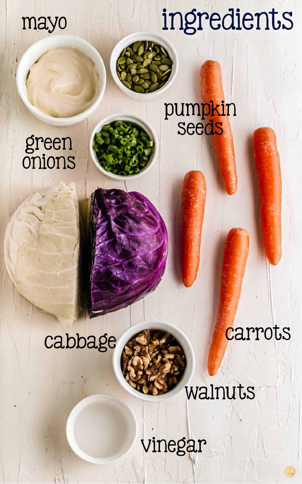 labeled picture of slaw ingredients