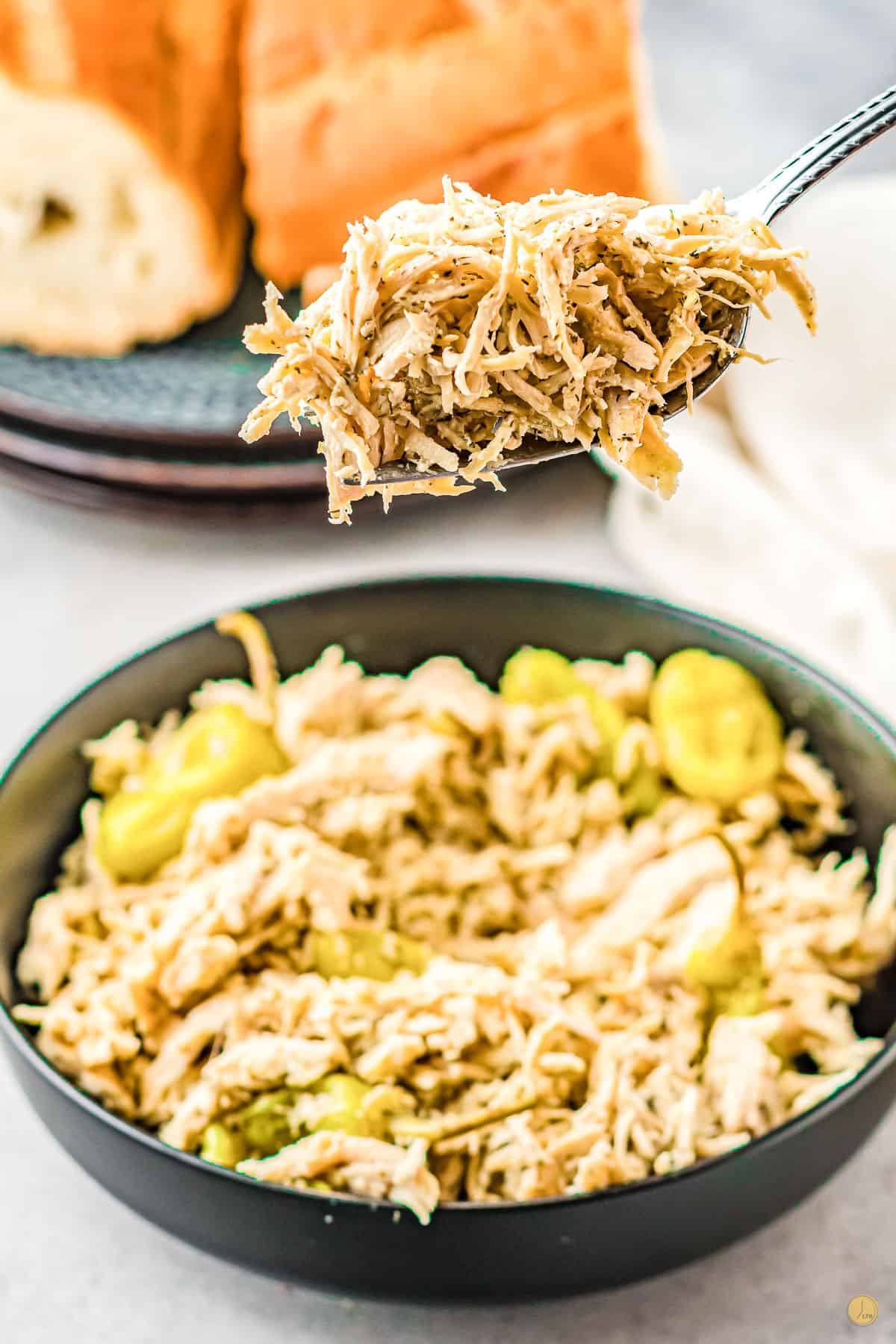 bowl of chicken with spoon holding some