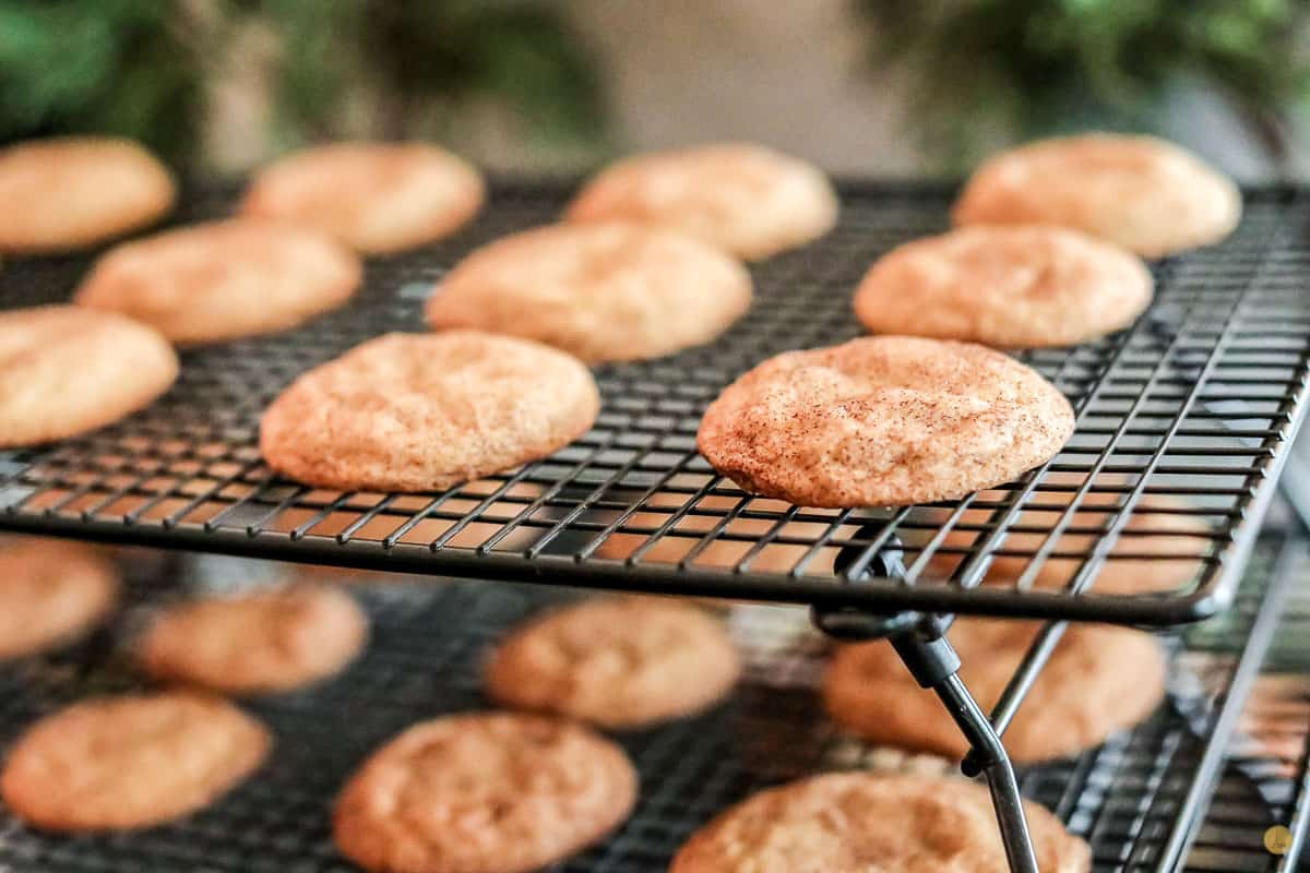 baked snickerdoodle cookies on cooling racks