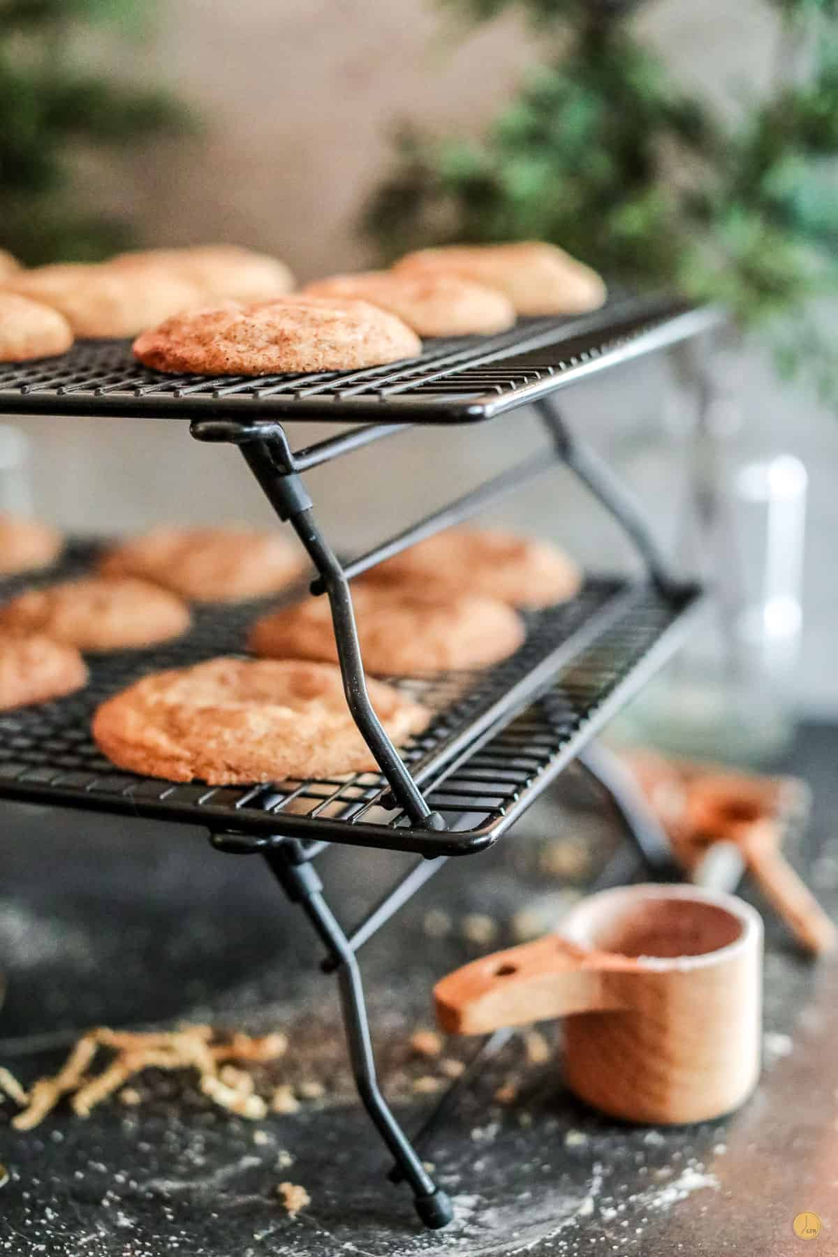 baked cookies