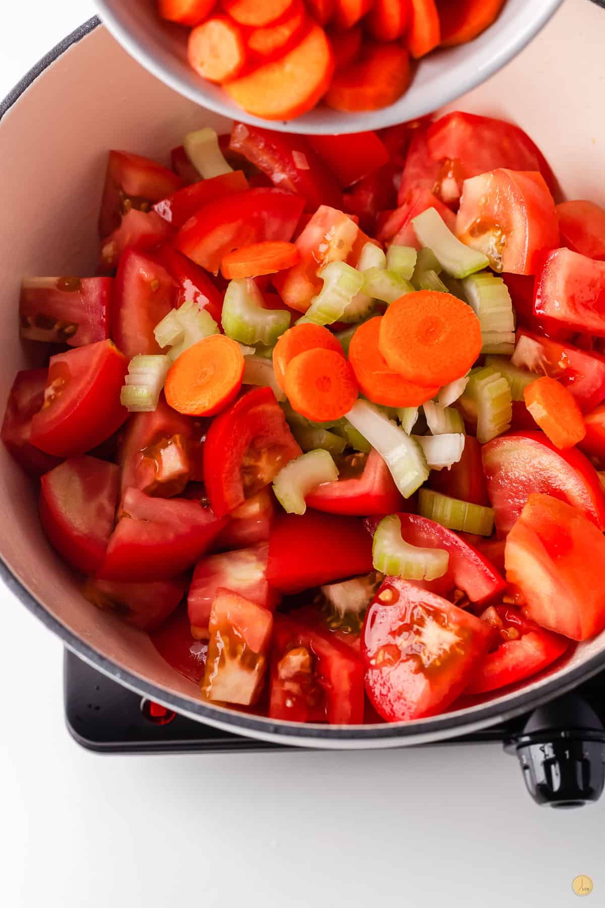 tomatoes and carrots in a pot