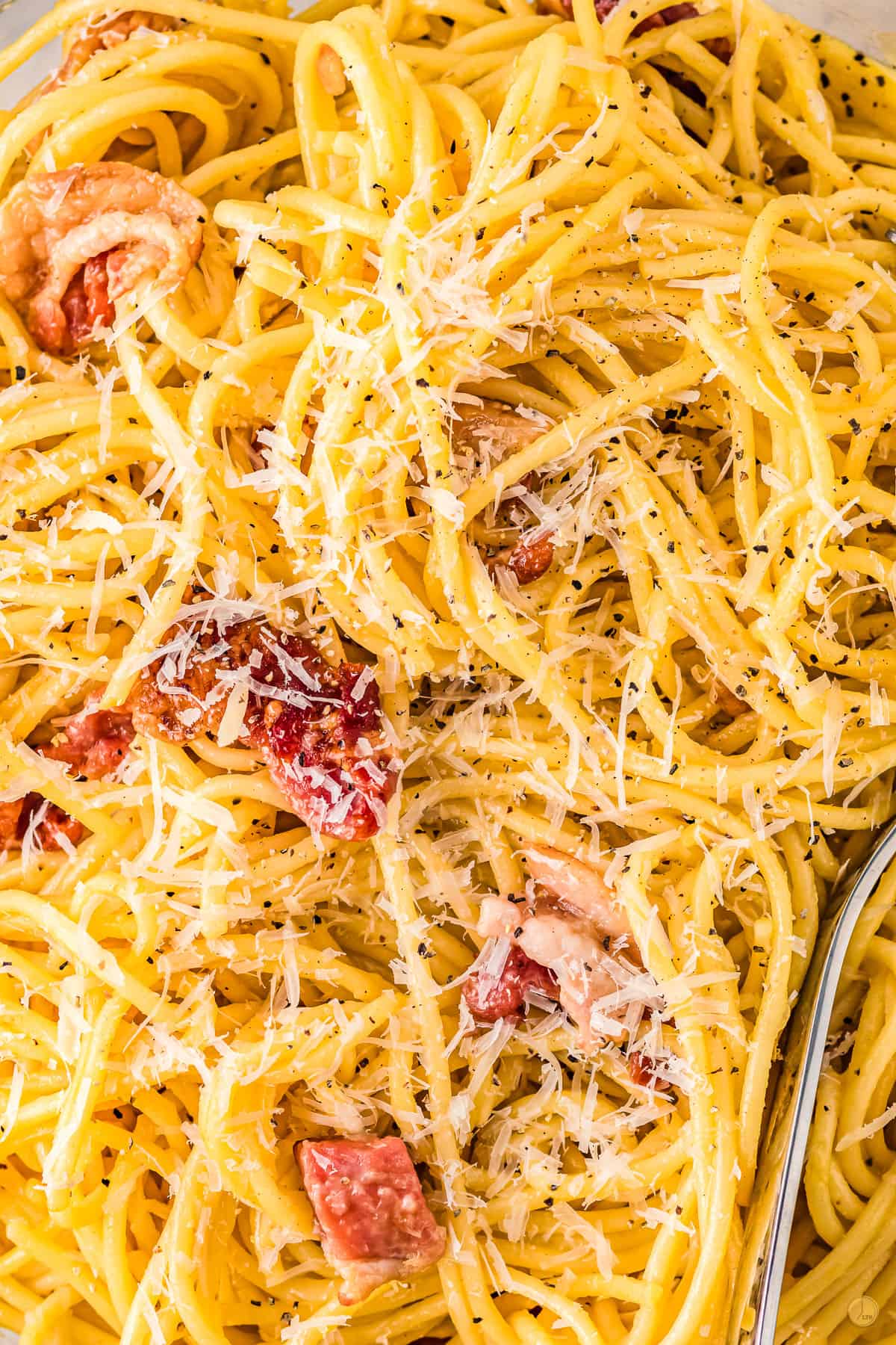 Close up of Spaghetti Carbonara.