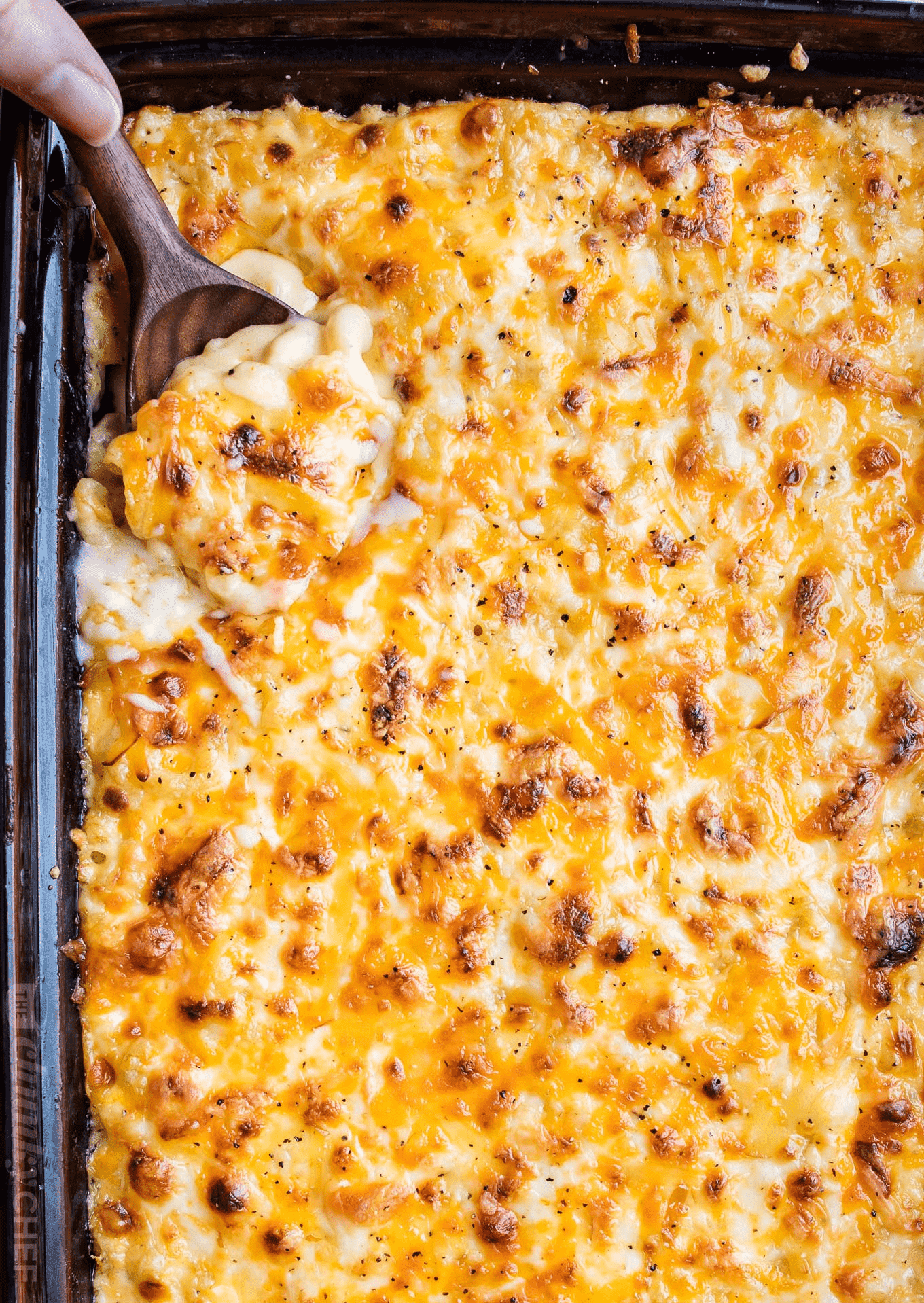 tray of baked macaroni and cheese
