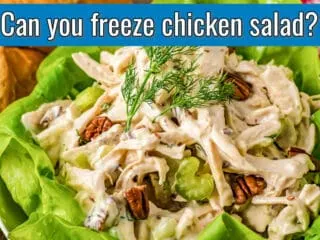 green lettuce with a scoop of chicken salad with blue stripe and text 