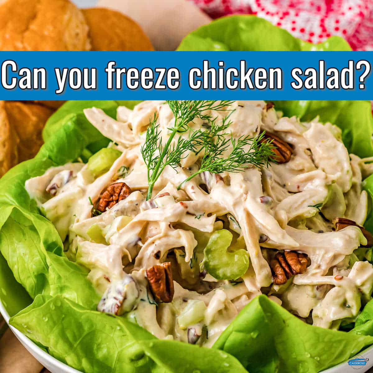 green lettuce with a scoop of chicken salad with blue stripe and text "can you freeze chicken salad?"