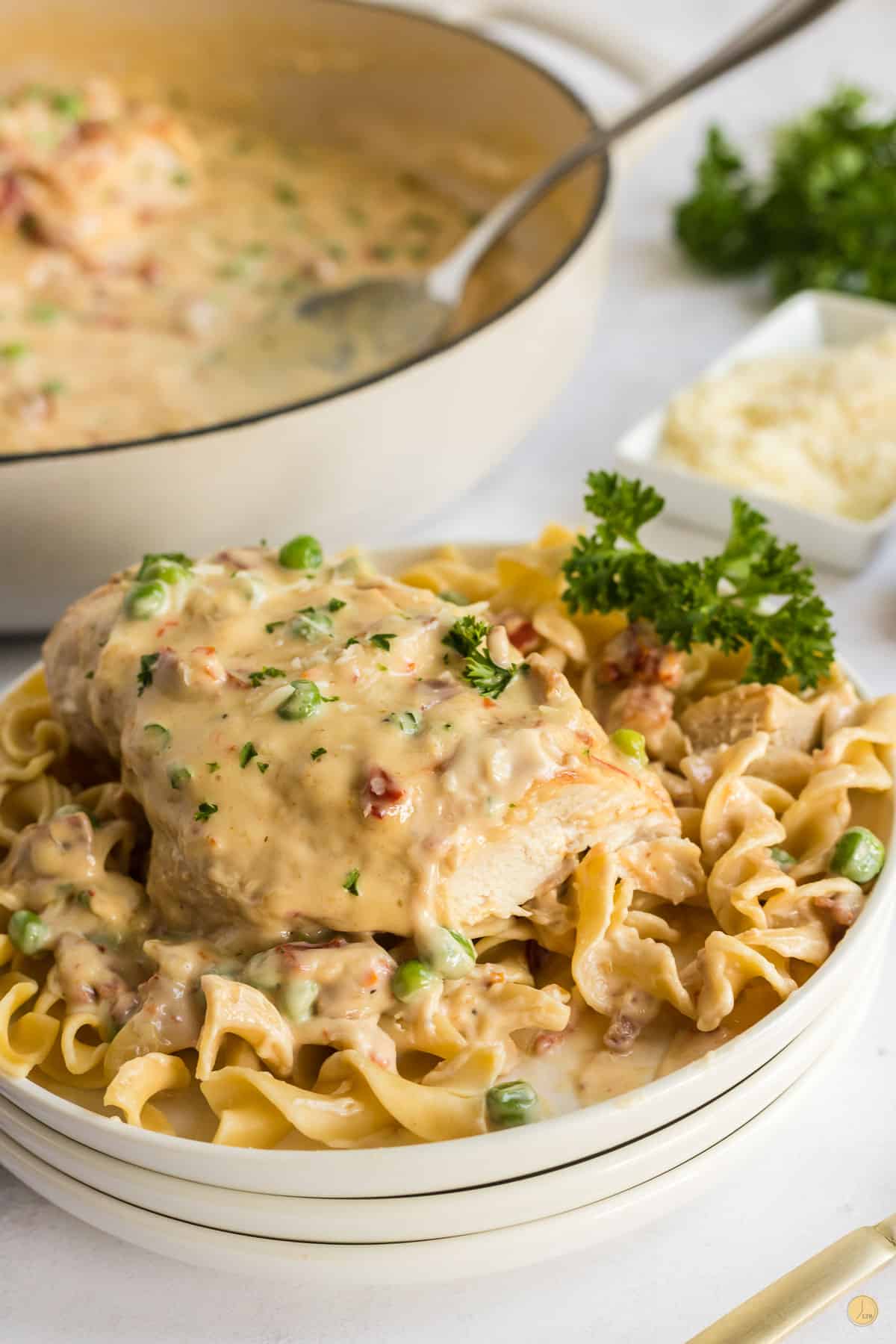 plate of chicken in a garlic cream sauce on top of egg noodles