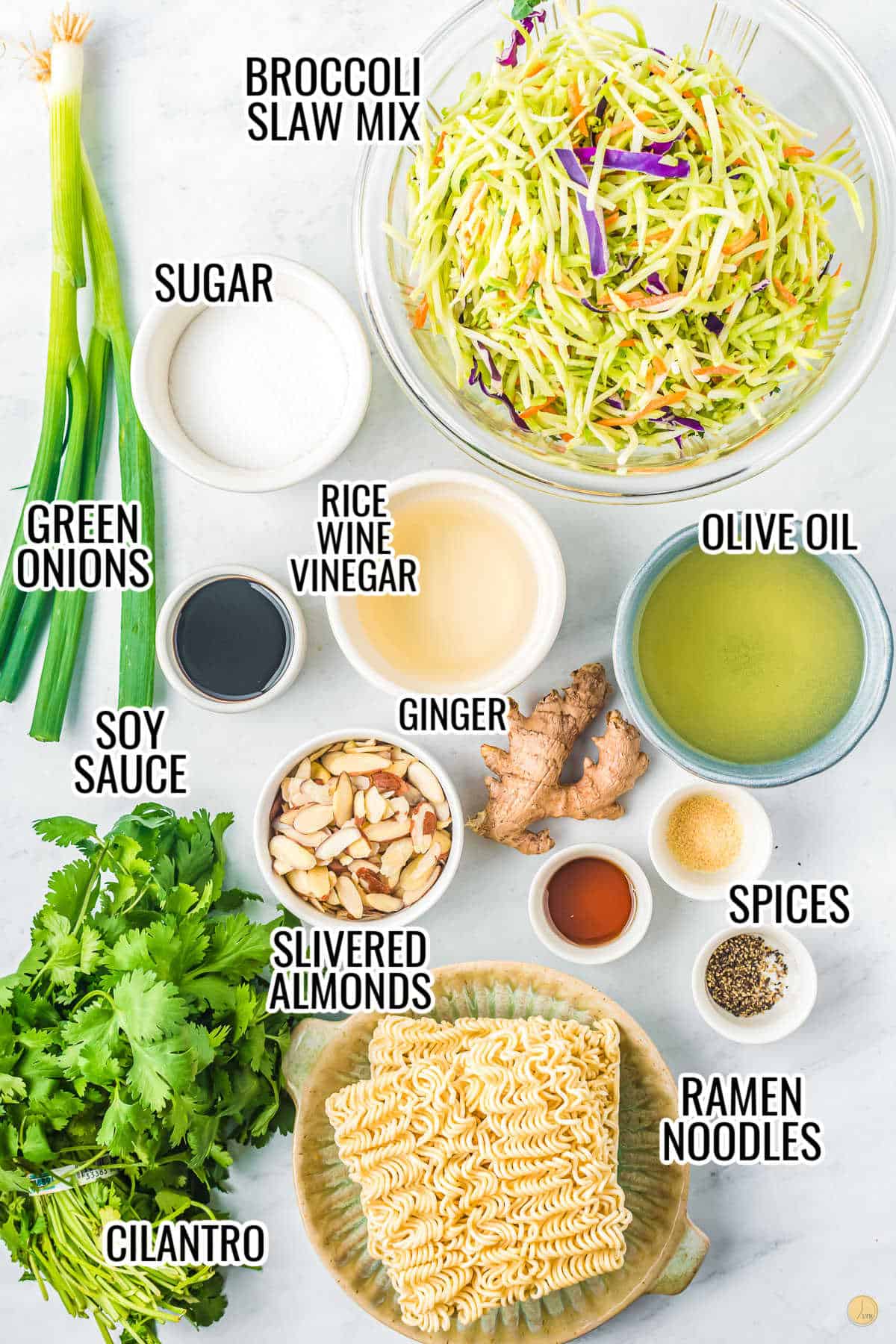 labeled picture of ramen noodle salad ingredients