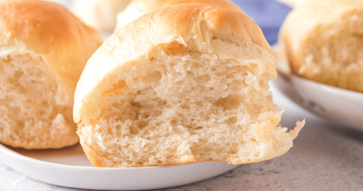 one hour dinner rolls