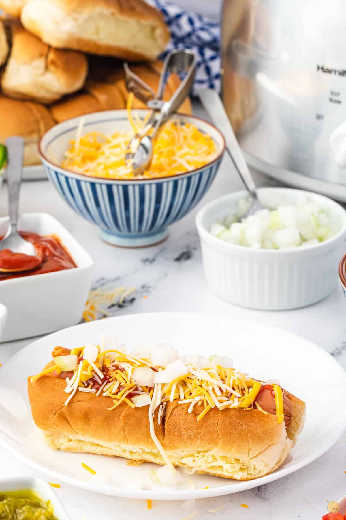 dressed hot dog on a white plate