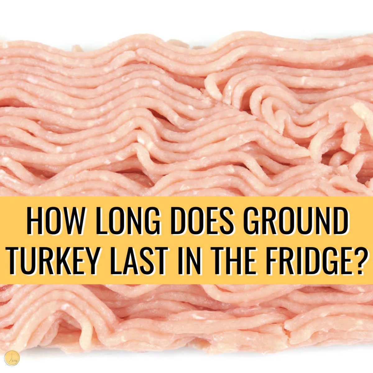 How Long Does Ground Beef Last In The Fridge - IMARKU