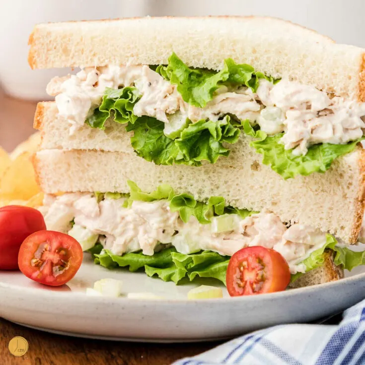 Zoe's Kitchen Chicken Salad (copycat) Leftovers Then Breakfast