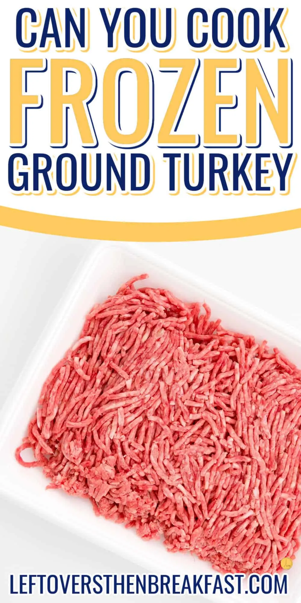 can you cook frozen ground turkey title banner