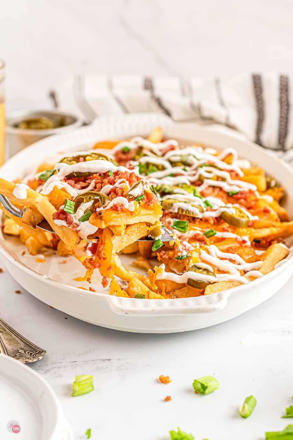 loaded cheese fries