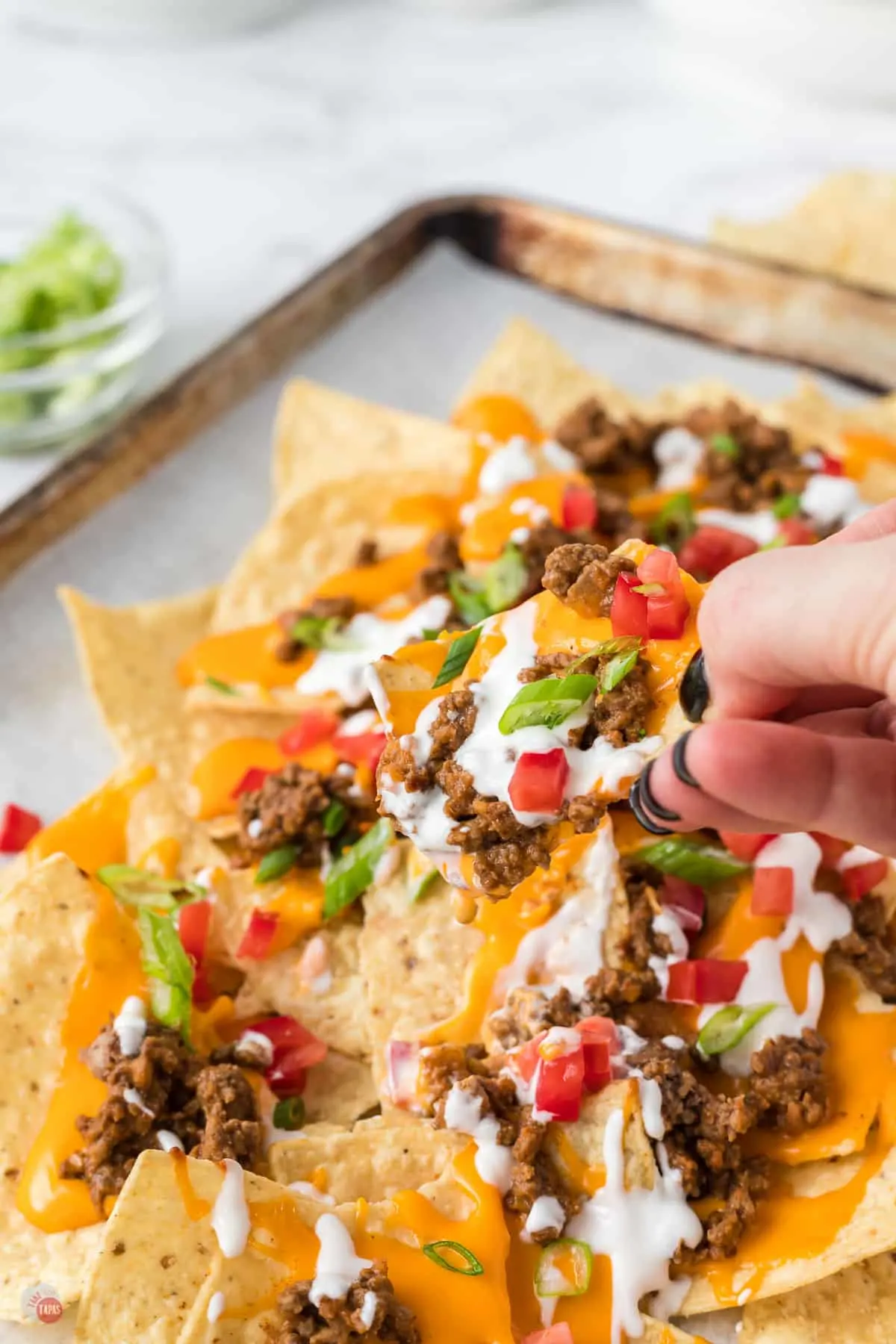 hand holding nachos topped with beef and tomatoes