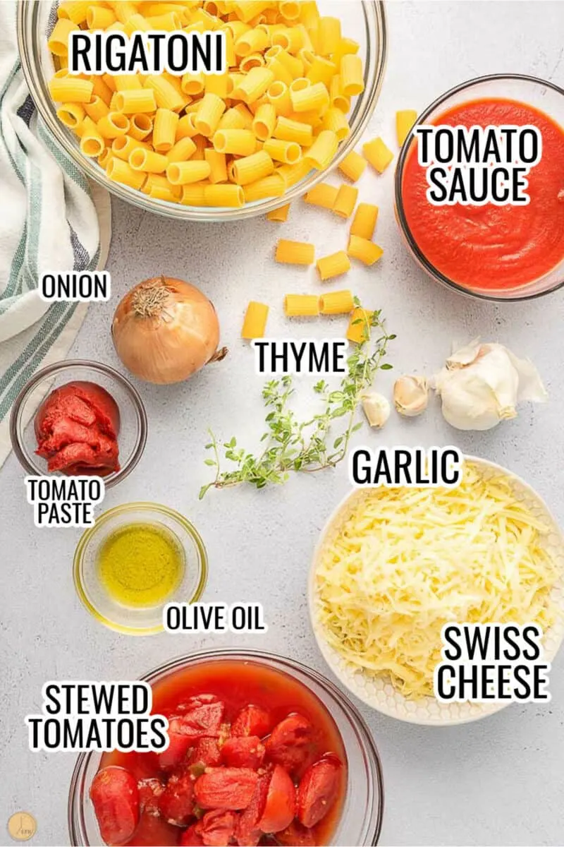 labeled picture of rigatoni ingredients