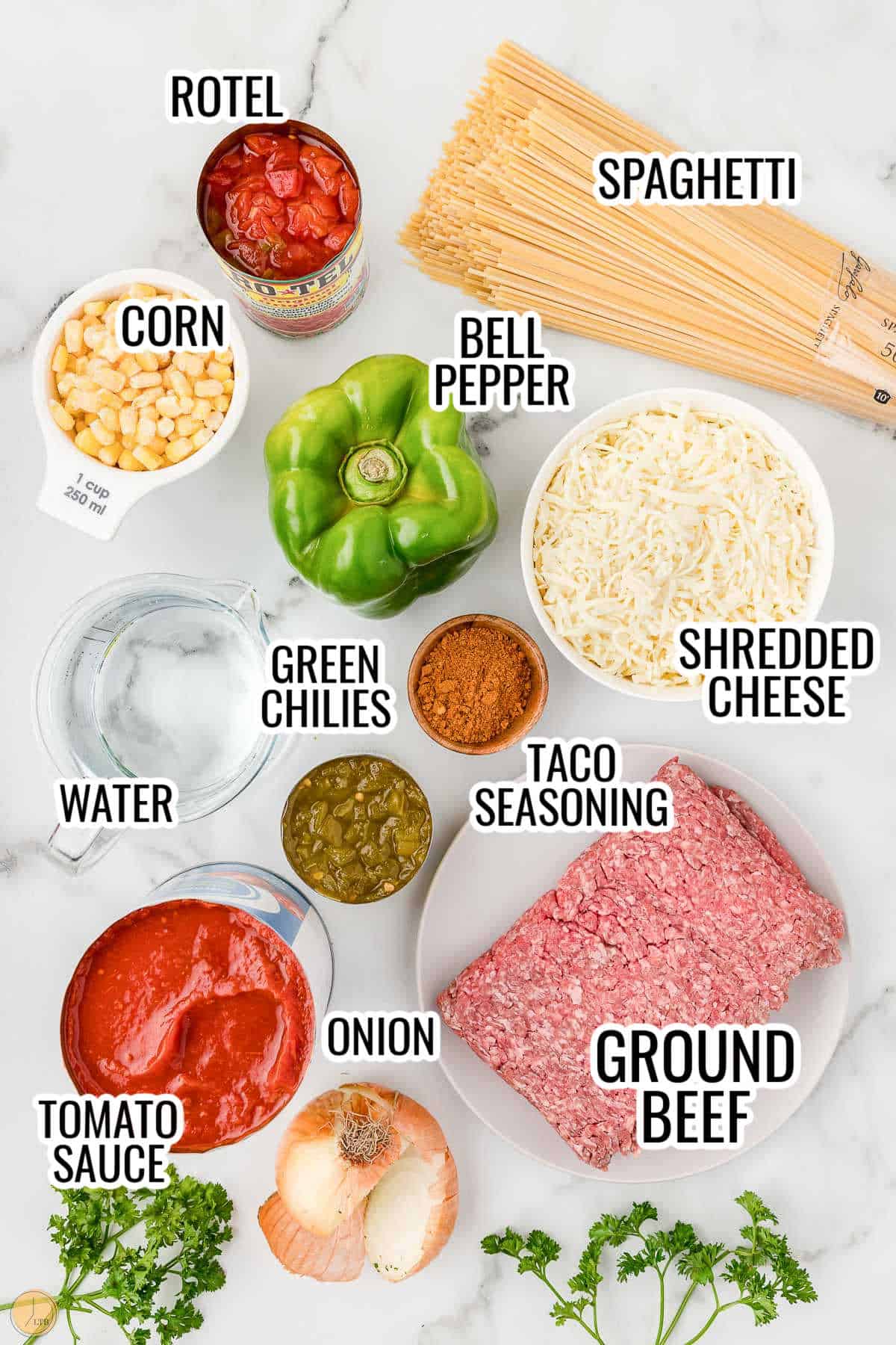 labeled picture of mexican spaghetti ingredients