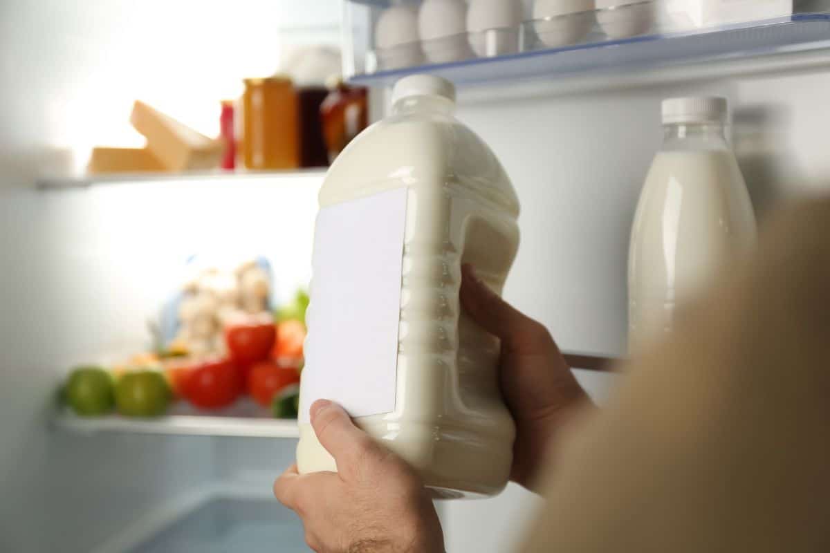 2 quarts of milk in front of a refrigerator