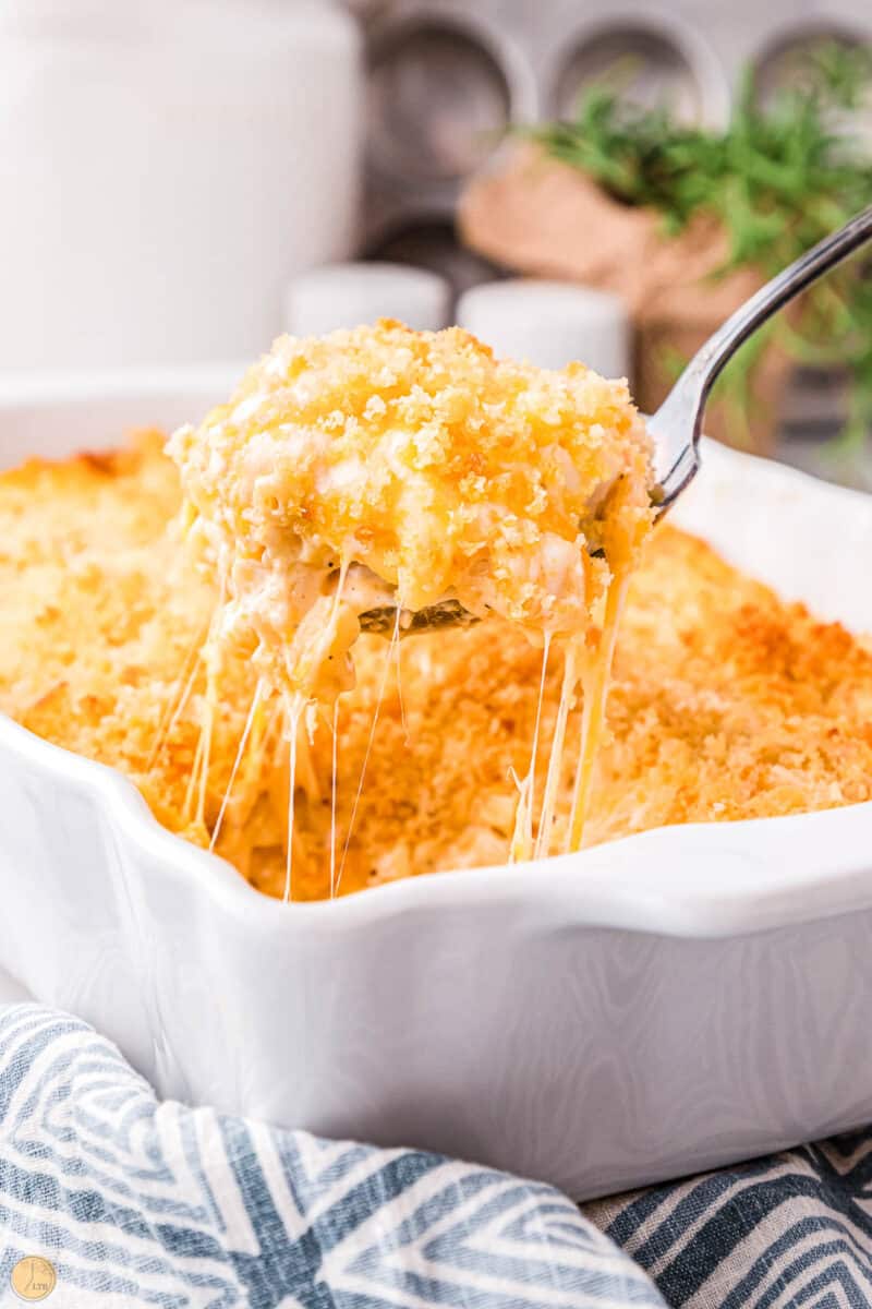 Cheesecake Factory Mac and Cheese Leftovers Then Breakfast