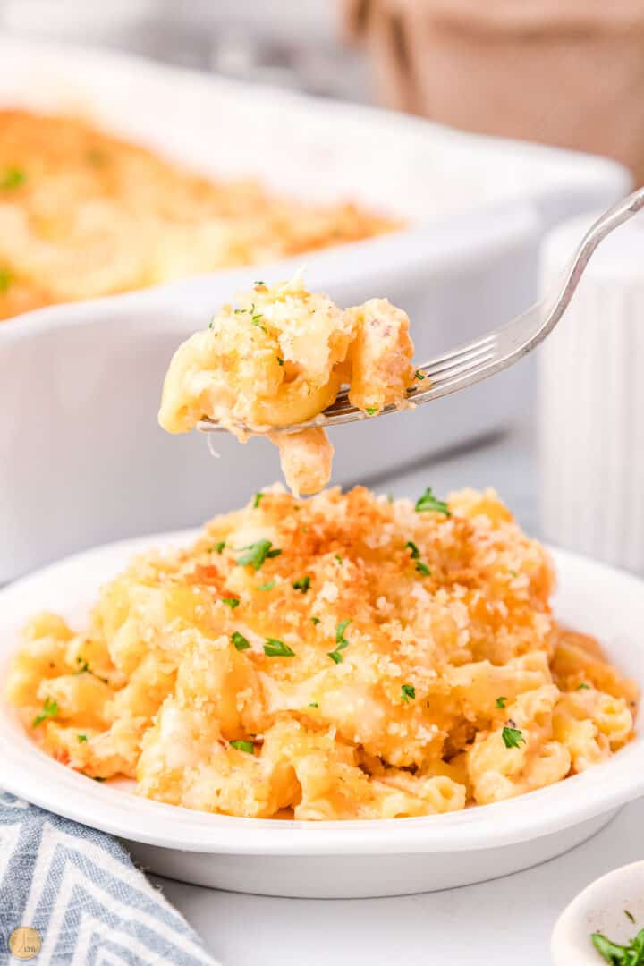 Cheesecake Factory Mac and Cheese Leftovers Then Breakfast