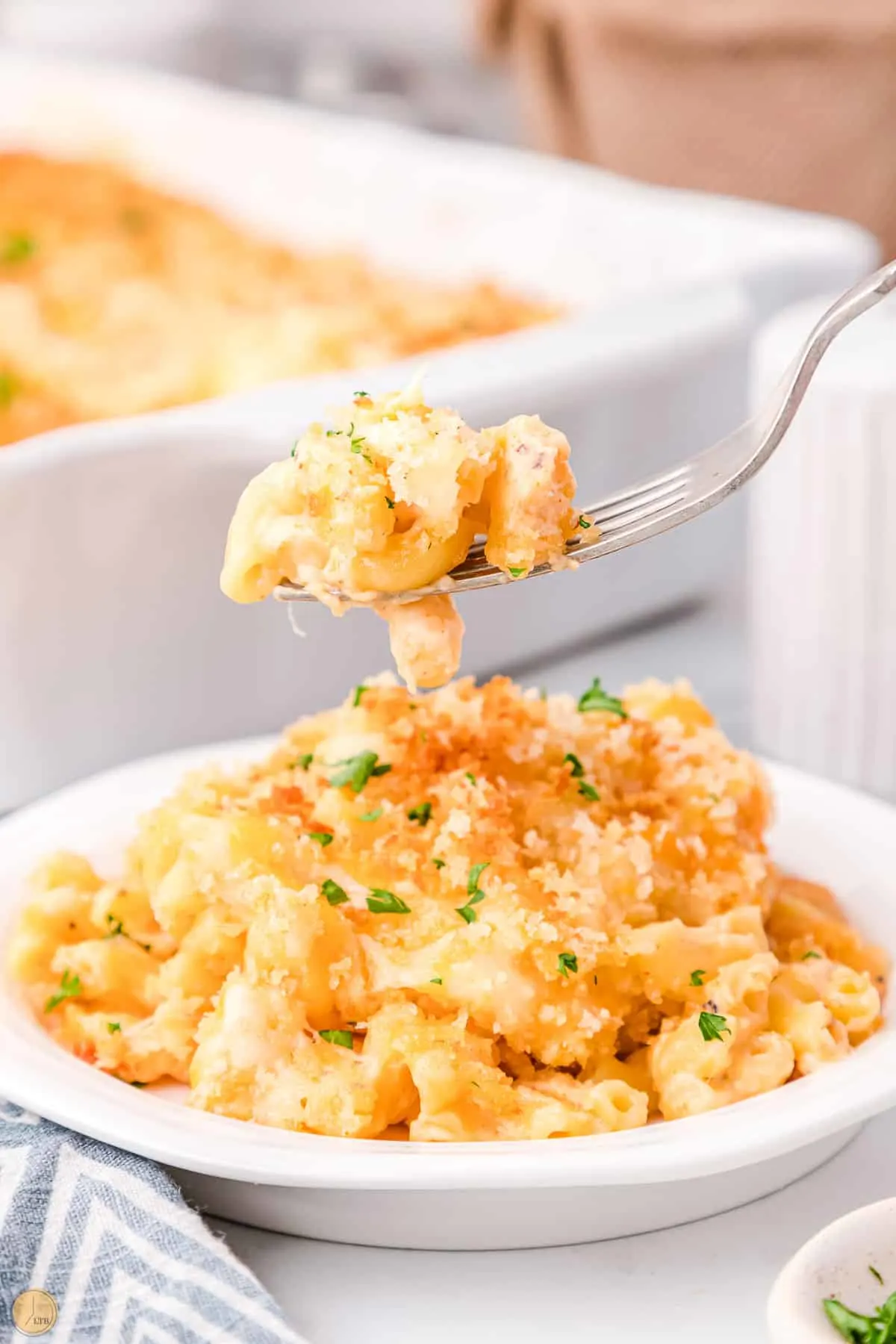 fork with bite of mac and cheese on it