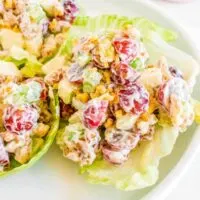waldorf salad in lettuce cups