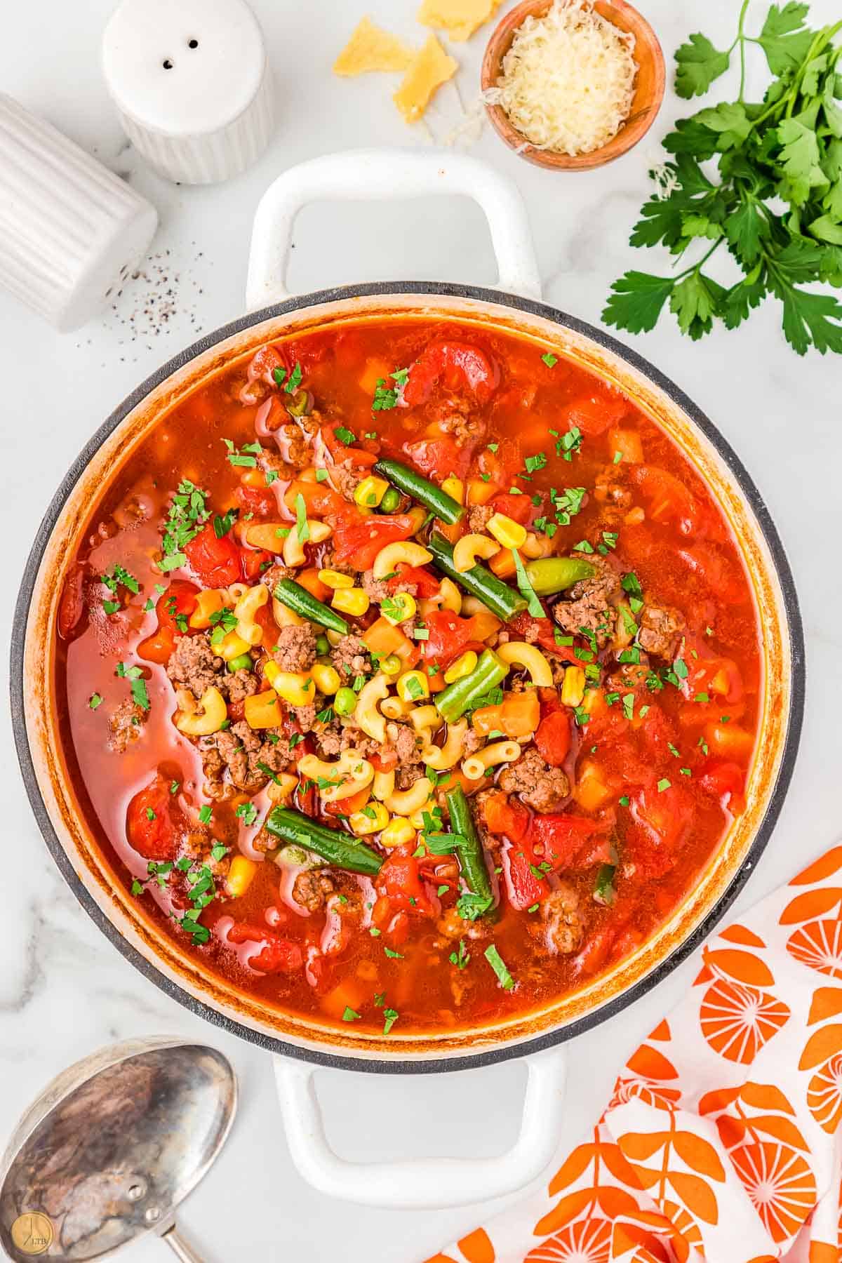 busy day soup with parsley on top