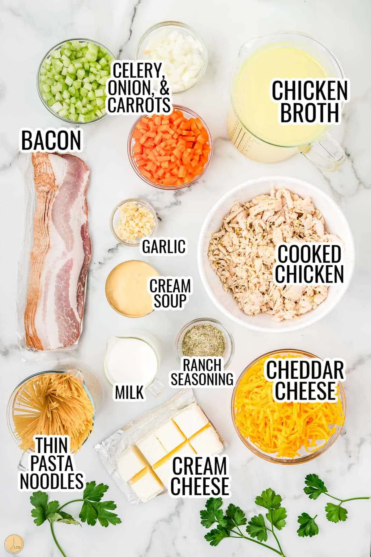 ingredients for homemade chicken noodle soup with bacon