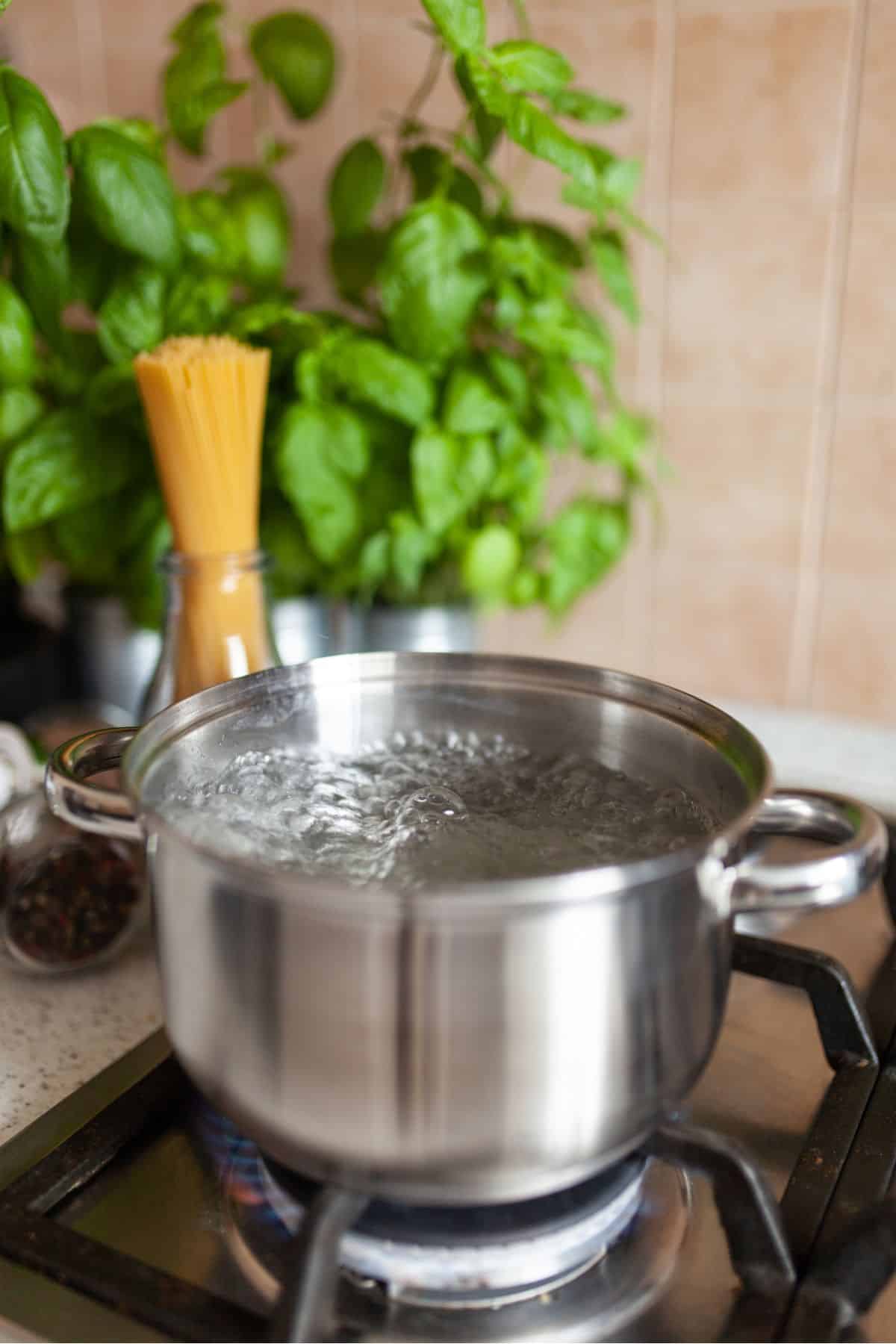 use much water for uncooked pasta to cook
