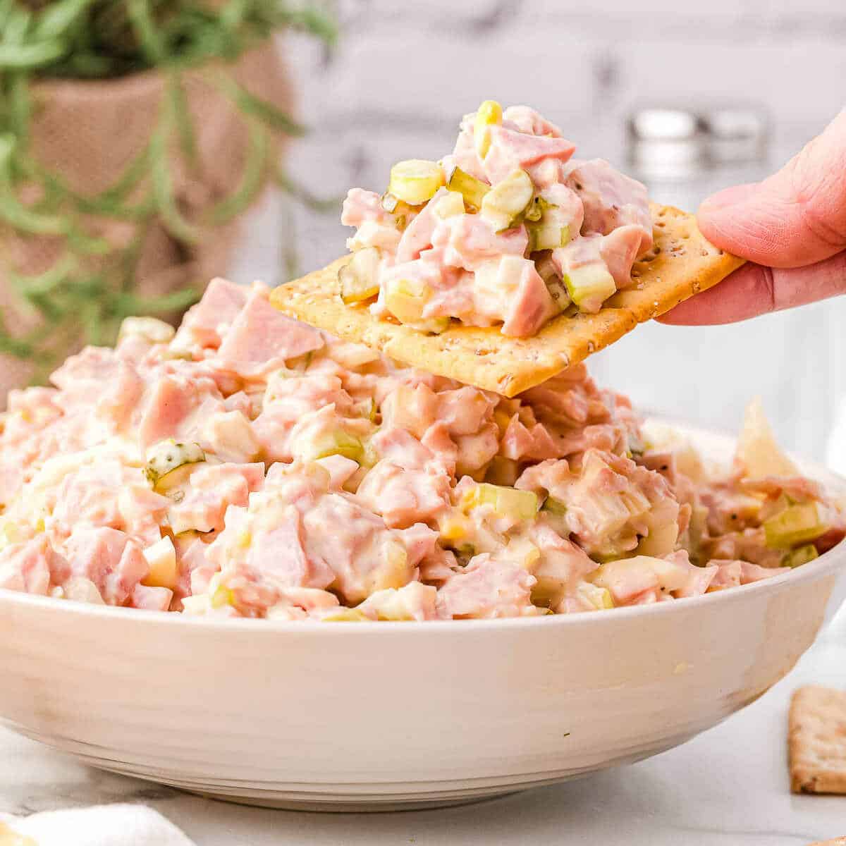 bowl of creamy ham salad and a cracker