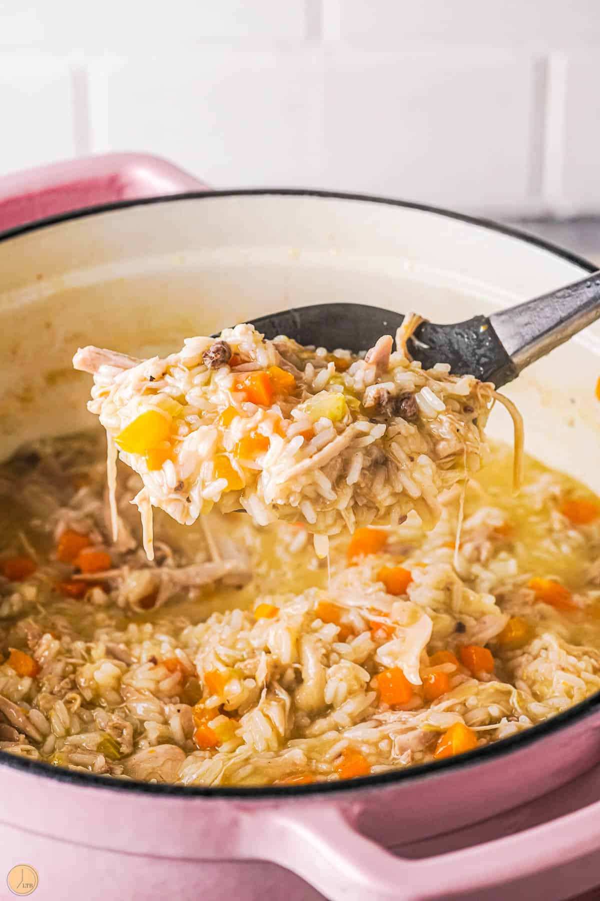 spoon of stewed chicken and rice with carrots